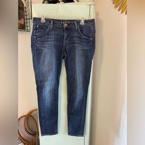 Hudson Skinny Jeans, Size 29